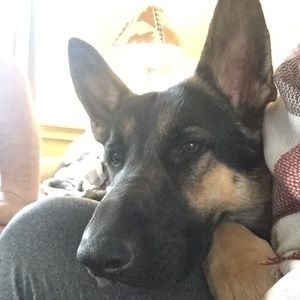 Meet your Posher, Dana